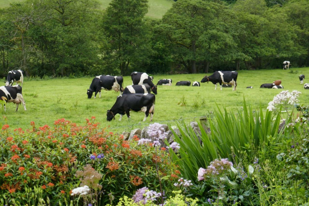 River View Knockraich Farm Fintry Exterior photo